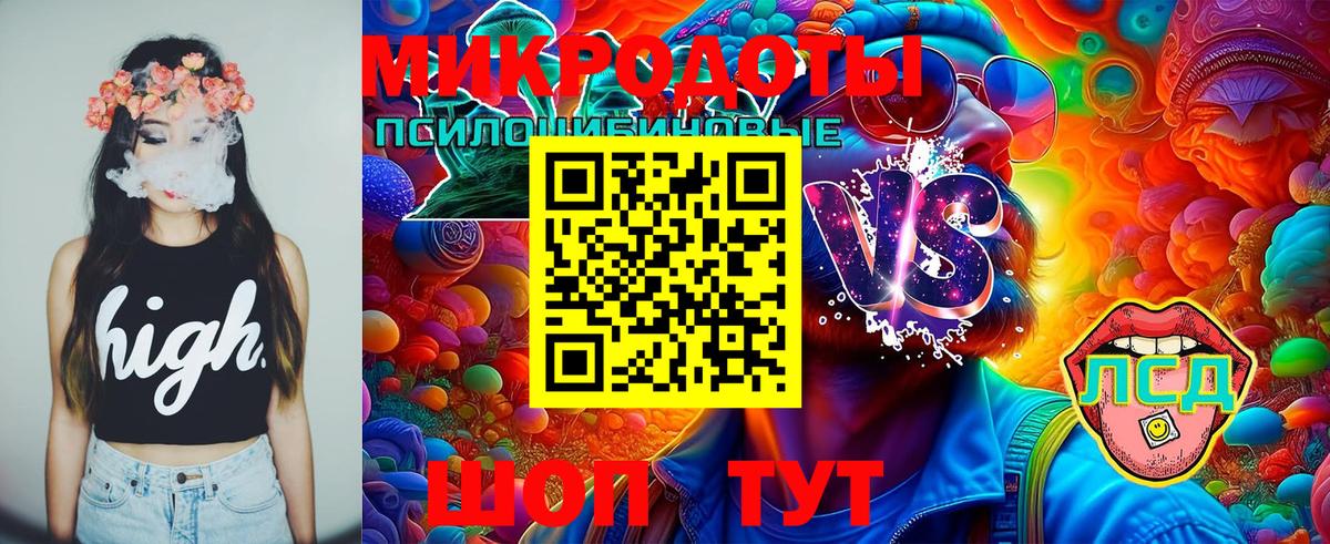 Северск  купить наркоту  Вход с VPN  Галлюциногенные грибы мицелий  Псилоцибиновые грибы Psilocybe 