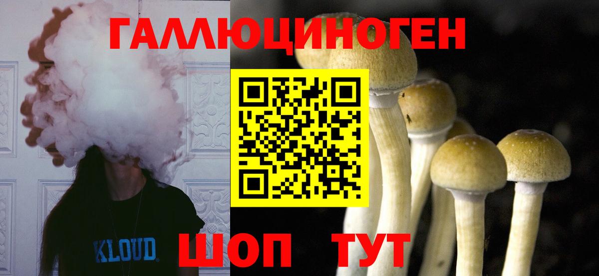 Псилоцибиновые грибы Magic Shrooms Северск
